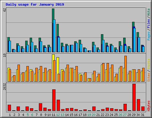 Daily usage for January 2019