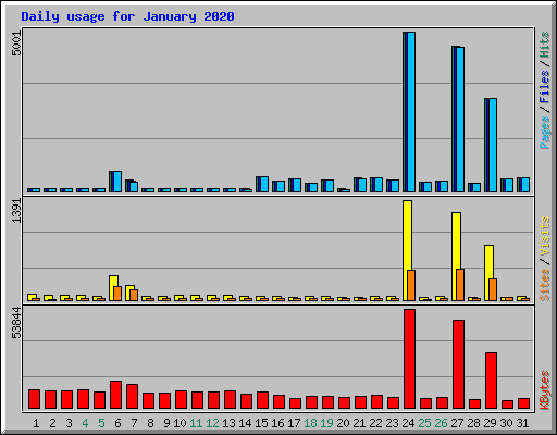 Daily usage for January 2020