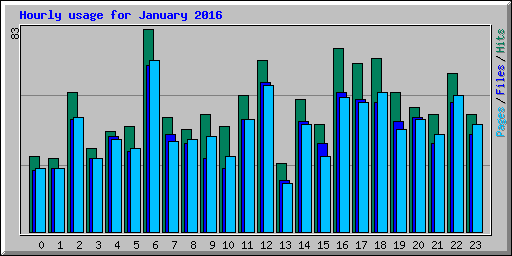 Hourly usage for January 2016