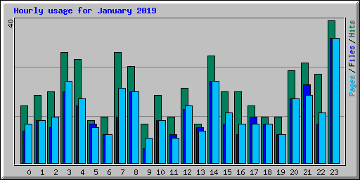 Hourly usage for January 2019