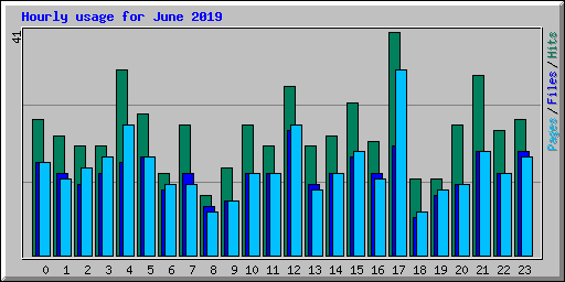 Hourly usage for June 2019