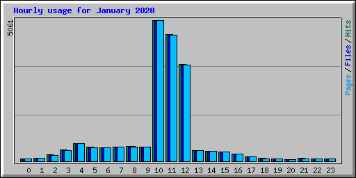 Hourly usage for January 2020