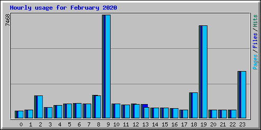 Hourly usage for February 2020